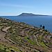 Taquile_2_les_terrasses_avec_amantani_en