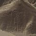 Nazca_5