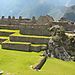 Machu_picchu_20_dans_les_ruines_10