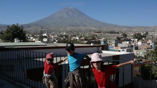 Arequipa_10_les_cocos_et_le_misti_en_arr