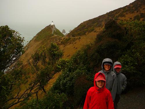 Catlins_2_nuggets_point