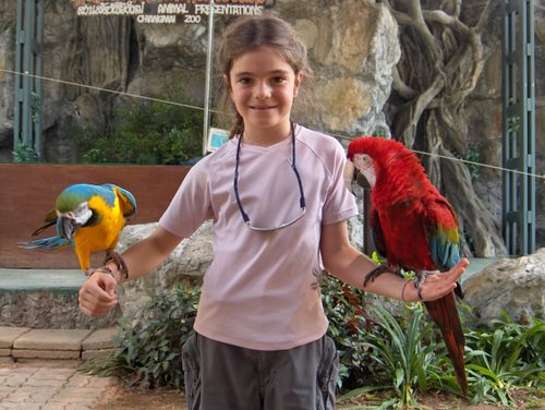 au zoo de Chiang Mai