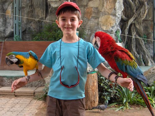 au zoo de Chiang Mai