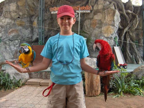 au zoo de Chiang Mai