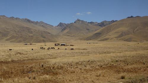 Sur_la_route_de_cusco_4