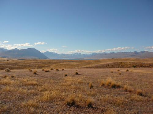 Tekapo_11