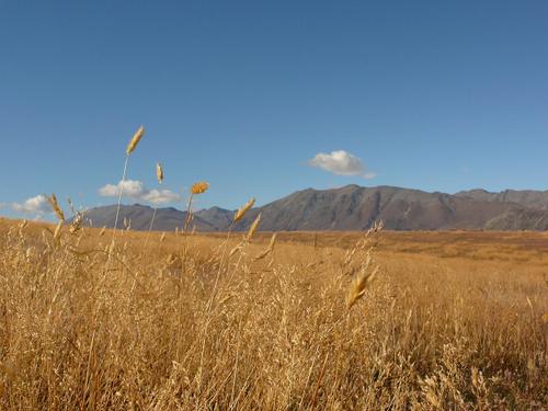 Tekapo_3